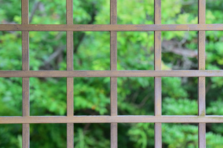 Summer through Wooden Window frameの写真素材