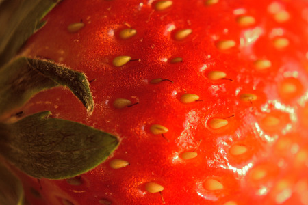 Macro Strawberry surface detailsの写真素材