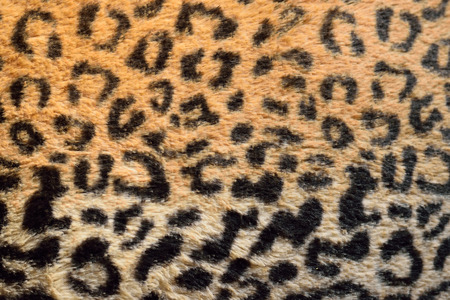 Background Texture Tiger like furの写真素材