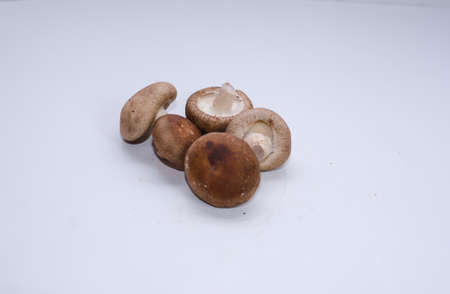 Mushroomsの写真素材