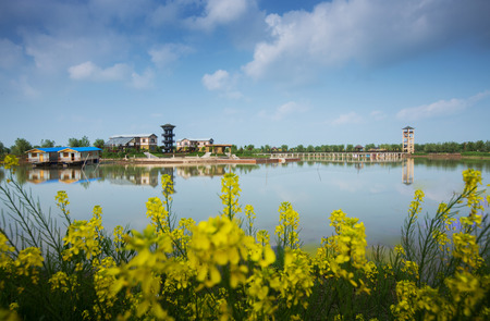 Yangzhou Gaoyou Lake Wetland sceneryの写真素材