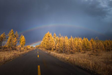 Hulun Buir grassland sceneryの写真素材