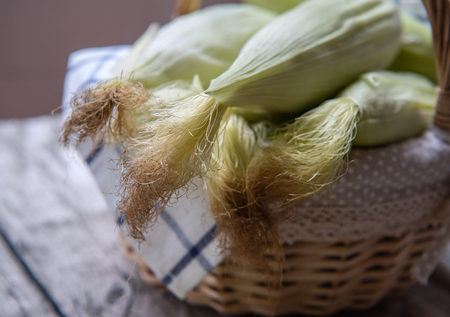 Mature fresh cornの写真素材