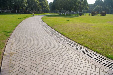 Green lawn and brick road in the park under the clear skyの写真素材