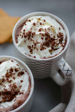 Cup of Hot chocolate with whipped cream on gray background. Gingerbread. Still life. Copy space. Winter drinks.の写真素材