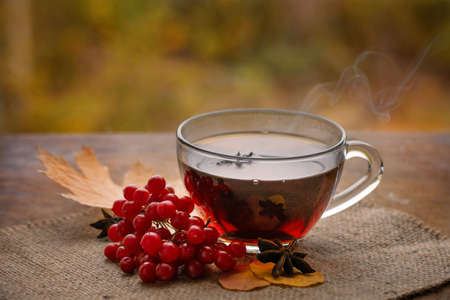 Autumn tea in glass mug on blurred background. A cup of tea with viburnum and anise on wooden table. Herbal tea, treats cold and flu.の写真素材
