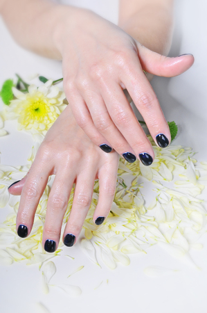 Manicure and hand spa. Beautiful female hands hands up closeの写真素材