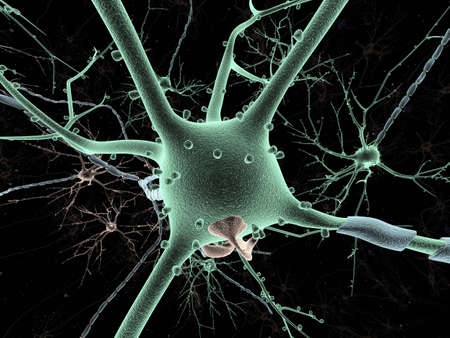 Neuron long-shot