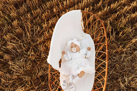 Portrait of lovely newborn baby girl  in beautiful white dress, tiny cute child laying in the little bed at the field, happy family moments, childhood and parenthood concept. High quality photoの写真素材
