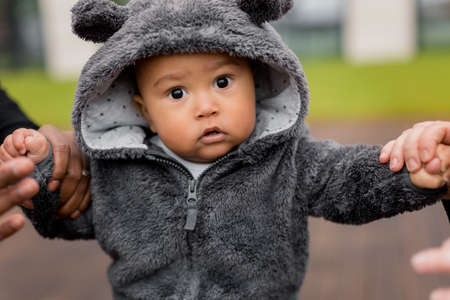 Portrait of little cute baby boy taking first steps, holding hands of father and mother, looking at...