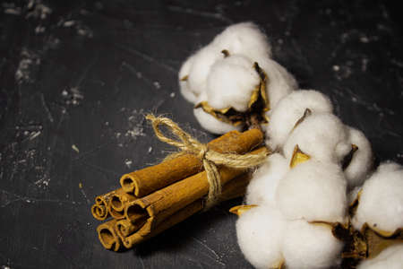 Cinnamon and cotton on dark gray background. Styleの写真素材