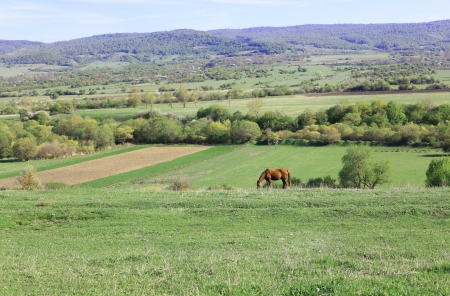 Rural landscapeの写真素材