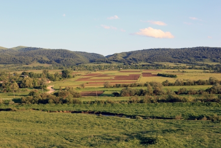Rural landscape in afternoon sunshineの写真素材