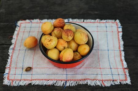 Wild apricots in a bowl on wooden table の写真素材