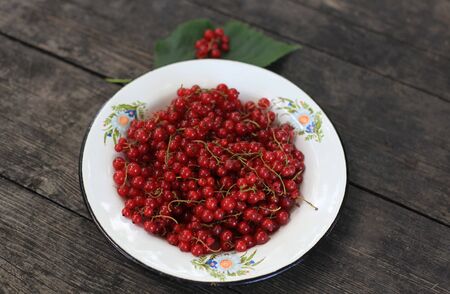 Red currant on a metal flower-decorated plate on wooden table の写真素材