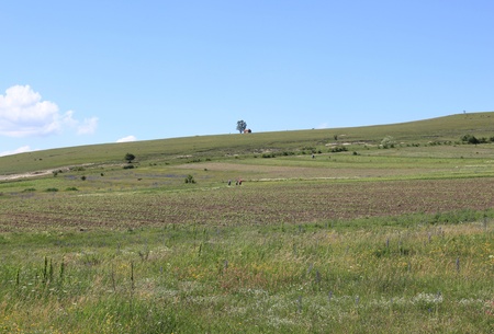 Field and grouop of farmers working in a distanceの写真素材