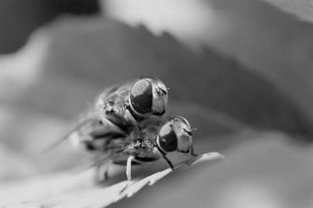 Fliesの写真素材