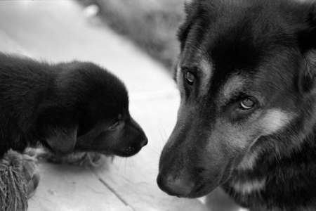 Sun and dadの写真素材