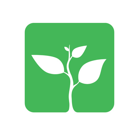 Sprout treeのイラスト素材