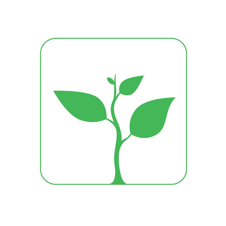 Sprout treeのイラスト素材