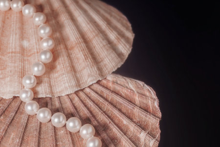 Scallop shell with pearls close-up in delicate light colors, beautiful pearl necklace, jewelry for...