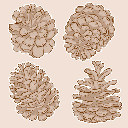 Isolated Pine Cones Drawing in Sketch Line Art Styleのイラスト素材