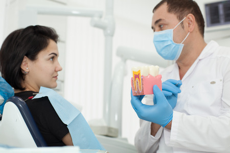 Male dentist talking with female patient. Dentist holding a model in his handの写真素材