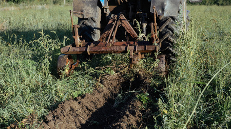 Tractor working on the potato field. Harvesting potatoes process with using tractor at small organic farmの写真素材