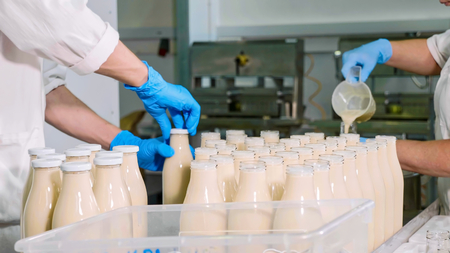 Workers filling a milk in bottles by hands at milk factoryの写真素材