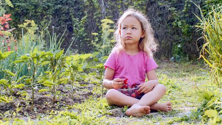 Little girl is eating strawberry and looking at camera sitting on the grass.の写真素材