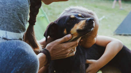 Mother with daughter is gently stroking mongrel dog at camping, close-up.の写真素材