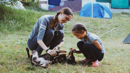 Mother with daughter is gently stroking mongrel dog at campingの写真素材