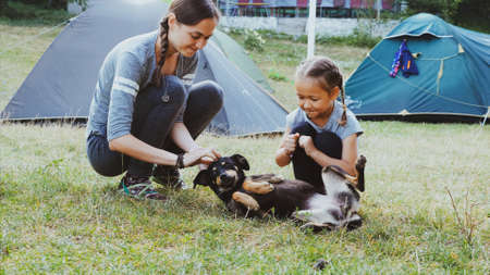 Mother with daughter is gently stroking mongrel dog at campingの写真素材