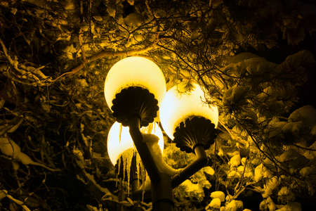 lantern shining in the nightの写真素材