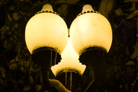lantern shining in the nightの写真素材