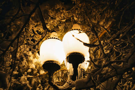 lantern shining in the nightの写真素材