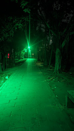 Path in the park at night with green light,Thailand.の写真素材