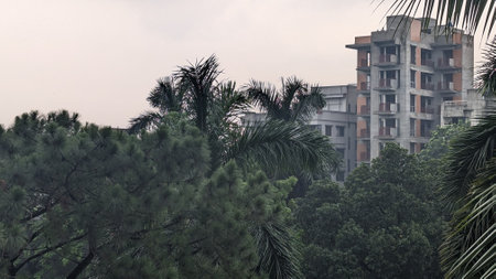 Pine trees and a building under construction in the middle of the forestの写真素材