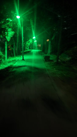 Night view of a road in the forest with trees and lanternsの写真素材