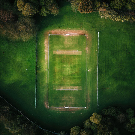 Background Wallpaper Related to Cricket Sportsの素材