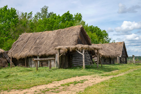 Rural log houses in an abandoned village. Pskov region, Russiaの写真素材