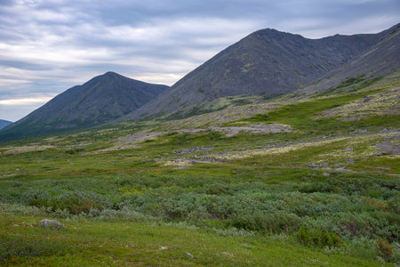 Mountain landscape on a cloudy morning. Khibiny, Murmansk region, Russiaの写真素材