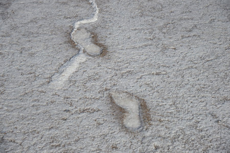 Traces on the salt surface. Lake Elton. Volgograd region