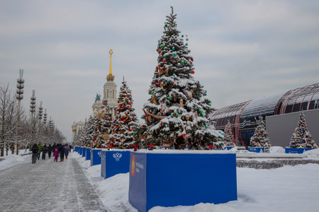 MOSCOW, RUSSIA - New Year's trees on the territory of VDNH. Moscowの写真素材