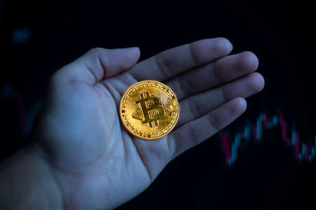 Hand hold bitcoin investment in crypto currency blockchain technology trading visual graphic background conceptの写真素材