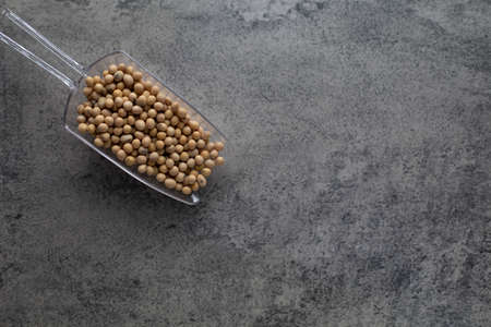 Soybean raw food nutrition in spoon