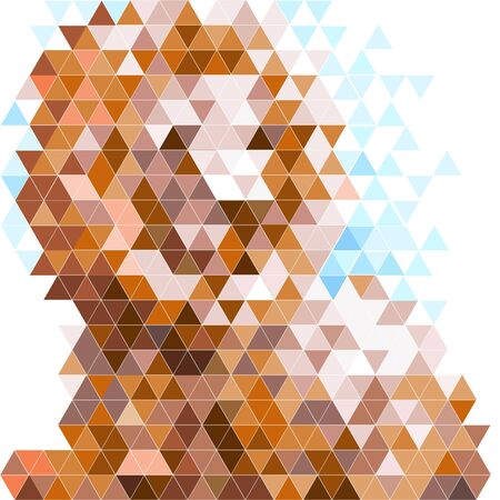Lion triangle vector illustration
