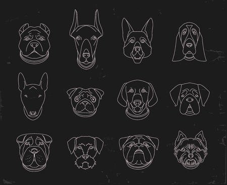 Popular breeds of dogs. 12 linear icons isolated on black.のイラスト素材