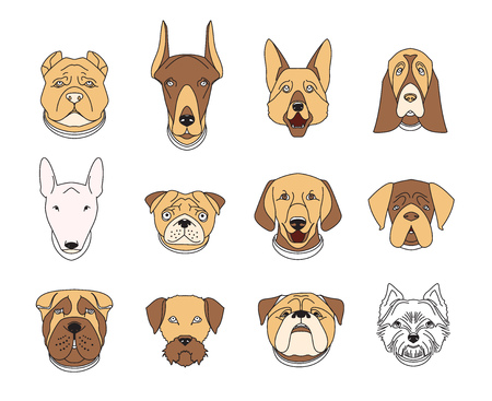 Popular breeds of dogs. 12 linear colorful icons isolated on white.のイラスト素材