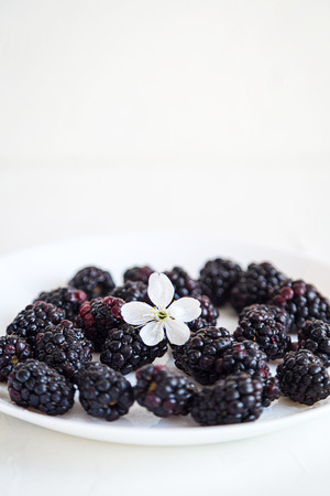 Some fresh blackberries on white plate concrete background.の写真素材